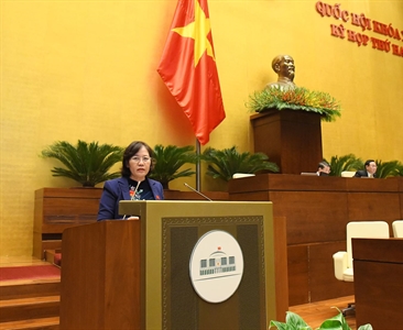 Quốc hội biểu quyết thông qua Luật sửa đổi, bổ sung một số điều của Bộ luật...